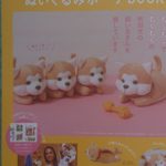 秋田犬ぬいぐるみBOOK